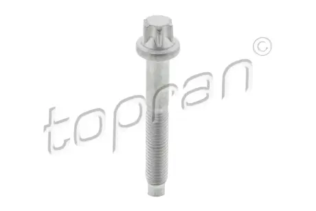 Болт крiплення форсунки topran (Hans pries) 306289