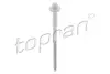 Гвинт кріплення інжектора topran (Hans pries) 306292