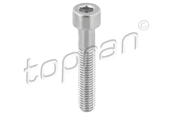 Болт, корпус скобы тормоза topran (Hans pries) 110708