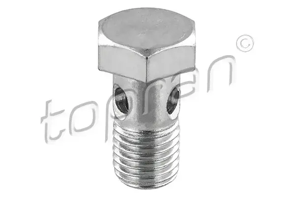 Болт рампи паливної VW GOLF 1.6/2.0D 12-20 SKODA OCTAVIA 1.6/2.0D 12-20 AUDI A4 2.0TDI 13-20 topran (Hans pries) 119 044