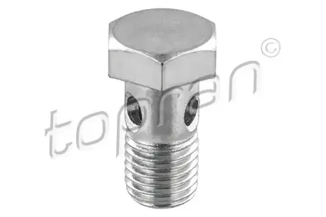 Болт рампи паливної VW GOLF 1.6/2.0D 12-20 SKODA OCTAVIA 1.6/2.0D 12-20 AUDI A4 2.0TDI 13-20 topran (Hans pries) 119 044