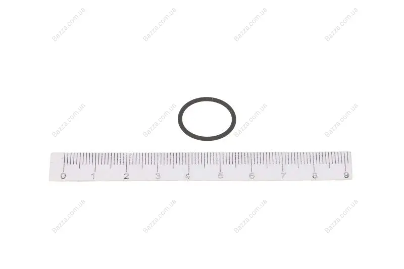 Елемент системи Common Rail Topran (Hans Pries) 116555 (фото 1)