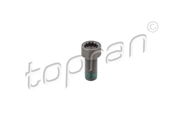 Гвинт з циліндричною голівкою М10*1*22.30 topran (Hans pries) 117243