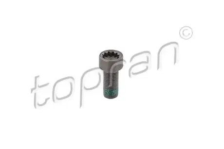 Гвинт з циліндричною голівкою М10*1*22.30 Topran (Hans Pries) 117243