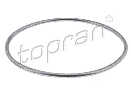 Прокладка, водяной насос Topran (Hans Pries) 100674