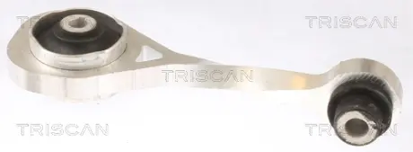 TRISCAN RENAULT подушка двигуна задн. Clio II 01-, Kangoo Triscan 850510111