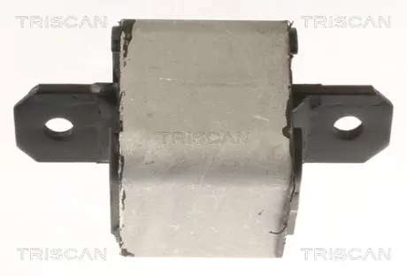 TRISCAN DB Подушка КПП/АКПП Sprinter 06-, Vito 03-, VW Crafter 06- Triscan 850510120