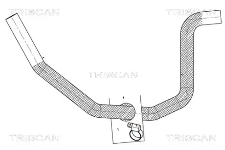 TRISCAN BMW Впускний трубопровід Г/У E53, E46, E39, E38 triscan 851611006
