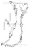 TRISCAN FORD Гідравлічний шланг C-MAX 07-, FOCUS II 04- triscan 8516 16038