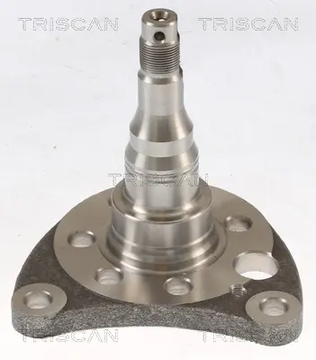 Подшипник задней ступицы triscan 8535 29011