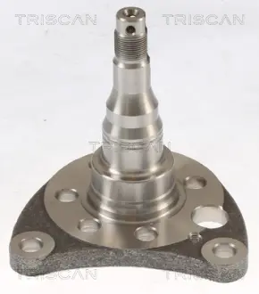 Підшипник задньої ступиці Triscan 8535 29011