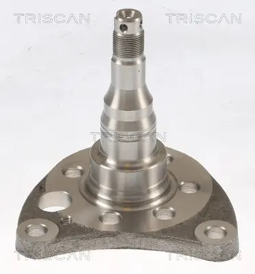 TRISCAN VW Маточина колеса задн. GOLF, JETTA, VENTO 86- Triscan 853529012 (фото 1)