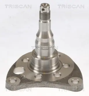 TRISCAN VW Маточина колеса задн. GOLF, JETTA, VENTO 86- Triscan 853529012