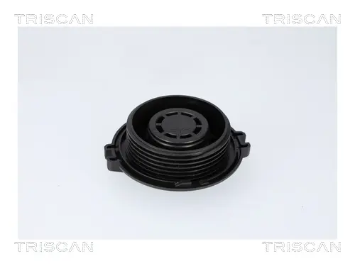 TRISCAN VW Запірна кришка бачка Audi A3, 8, Q2/3, Skoda Fabia III, Kodiaq, Fabia III, Octavia III, Rapid, SuperB III, Amarok, Caddy III, IV, Golf VII, Passat, Tiguan, Touran Triscan 861034 (фото 1)