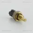 Датчик температури охолодж.рідини Honda Accord,Civic 92- (95°C-90°C) Triscan 862640002 (фото 1)