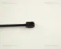 Амортизатор багажника VW Bora 98-,VW Passat 96-,Seat Toledo 99- triscan 871029231