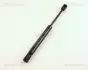 Амортизатор багажника VW Bora 98-,VW Passat 96-,Seat Toledo 99- triscan 871029231
