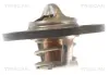 Датчик включения вентилятора Peugeot 92/88-97/92°C Triscan 86201875 (фото 2)