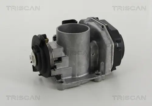 Дроссельная заслонка triscan 882029011