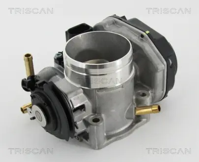 Дроссельная заслонка Triscan 8820 29024