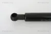 Газовая пружина, спереди triscan 871011110