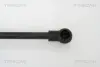 Газовая пружина, спереди triscan 871011110