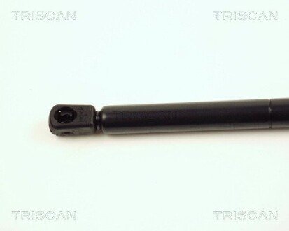 Газовая пружина, спереди triscan 871016104