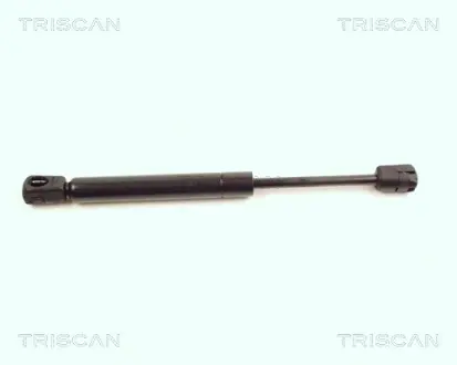 Газовая пружина, спереди triscan 871016104
