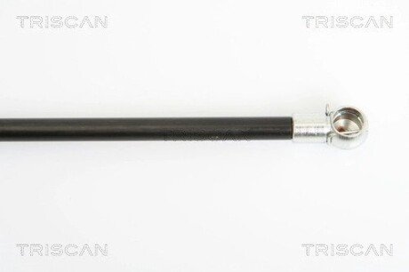 Газовая пружина, сзади triscan 871016241