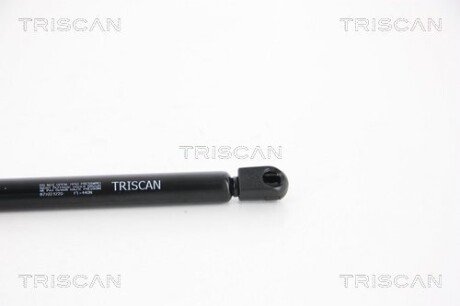 Газовая пружина, сзади triscan 871023220