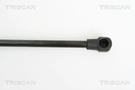 Газовая пружина, сзади triscan 871025234