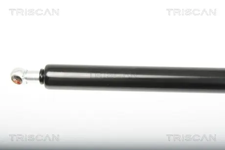 Газовая пружина, сзади Triscan 8710 25246