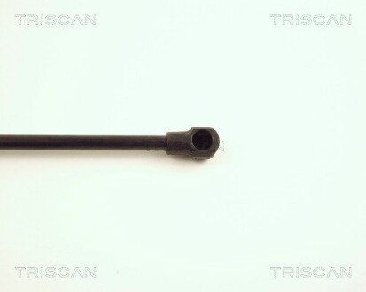 Газовая пружина, сзади triscan 871028221