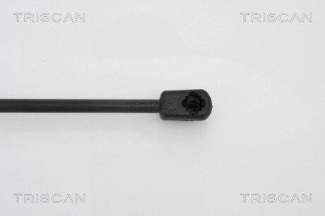 Газовая пружина, сзади triscan 871028227