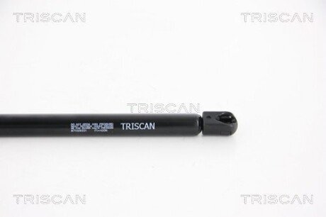 Газовая пружина, сзади triscan 871029221