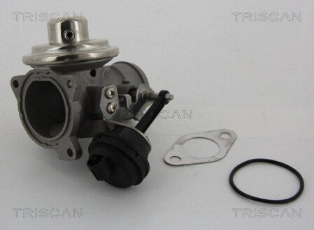 Клапан EGR Audi A3, VW Golf IV, 96-06 triscan 881329001