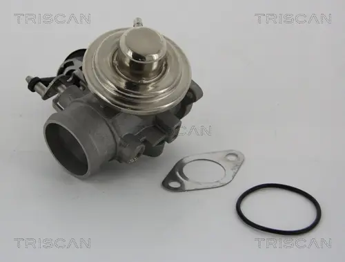 Клапан EGR Audi A3, VW Golf IV, 96-06 Triscan 881329001 (фото 1)