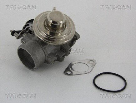 Клапан EGR Audi A3, VW Golf IV, 96-06 triscan 881329001