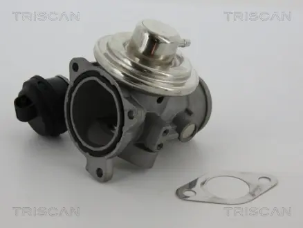 Клапан EGR Ford/VAG 1.9Tdi 00- Triscan 881329057