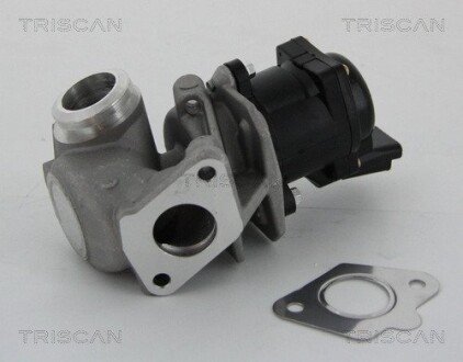 Клапан EGR Peugeot 1.6Hdi triscan 881310010