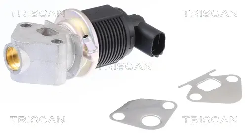 Клапан EGR Seat Cordoba/Ibiza/VW Bora/Skoda Fabia 1.4 00- Triscan 881329009 (фото 1)