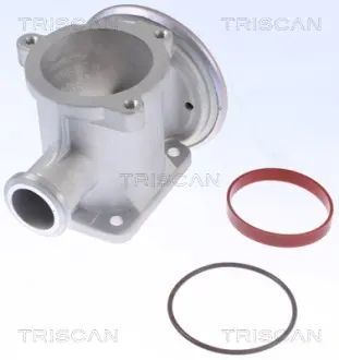 Клапан EGR Triscan 8813 11105