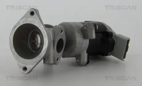 Клапан EGR Triscan 881317020