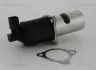 Клапан EGR triscan 881324055