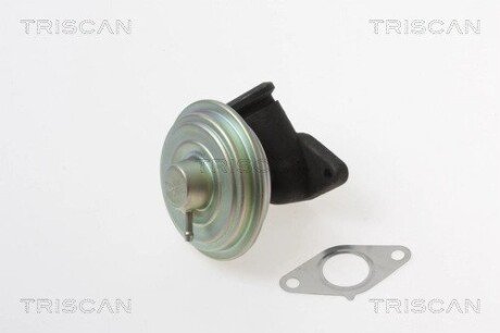 Клапан EGR triscan 881328017