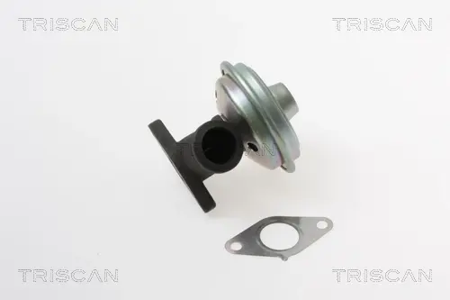 Клапан EGR triscan 881328017