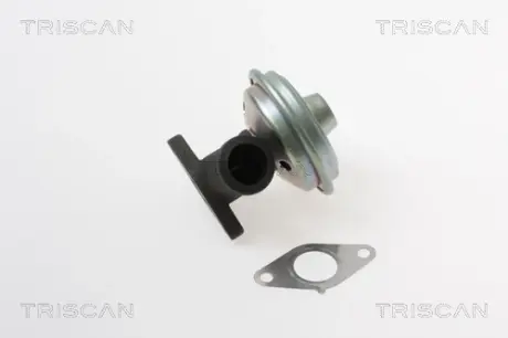 Клапан EGR triscan 881328017