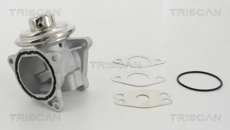 Клапан EGR Triscan 881329111