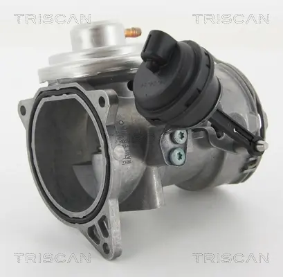 Клапан EGR VAG Touareg 2.5 R5 TDI 03- triscan 881329070