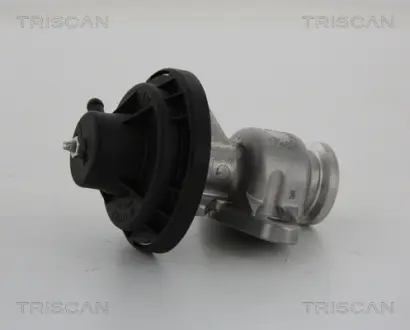 Клапан EGR VW Caddy III, Golf V 2.0SDI BSD, BDK 01.04- Triscan 881329034